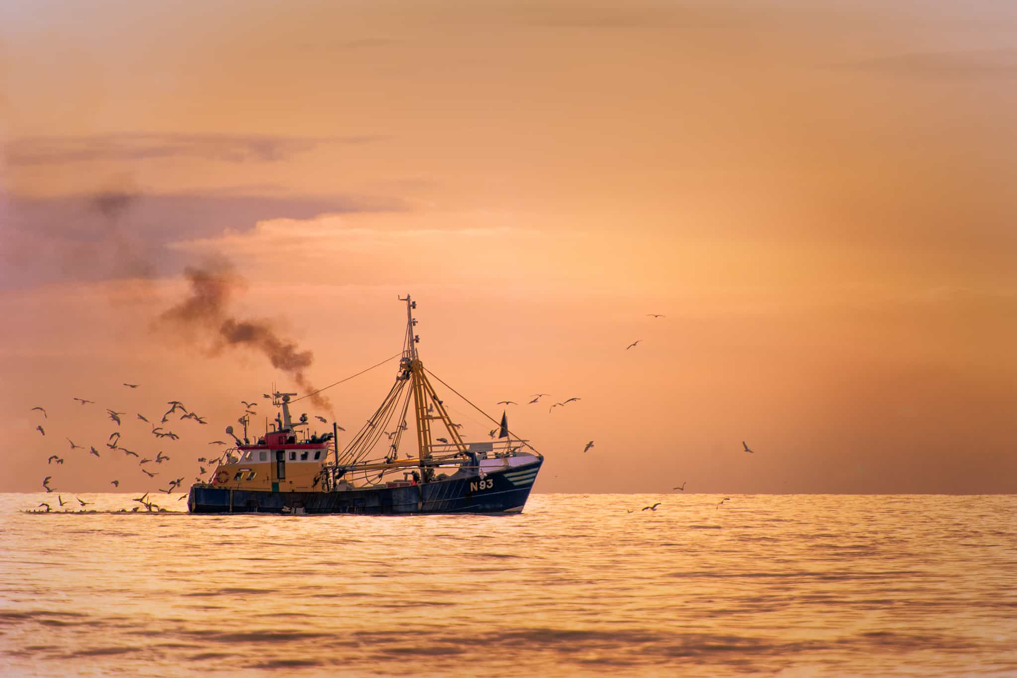 Fisherman boat on the sea with birds behind during sunset