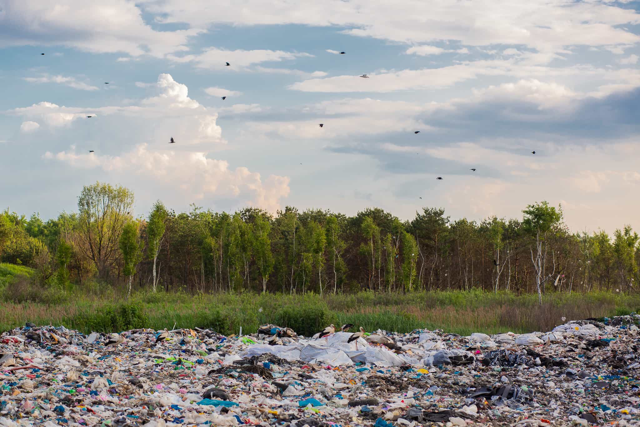 Large garbage dump against the backdrop of the forest, the landfill pollutes the environment