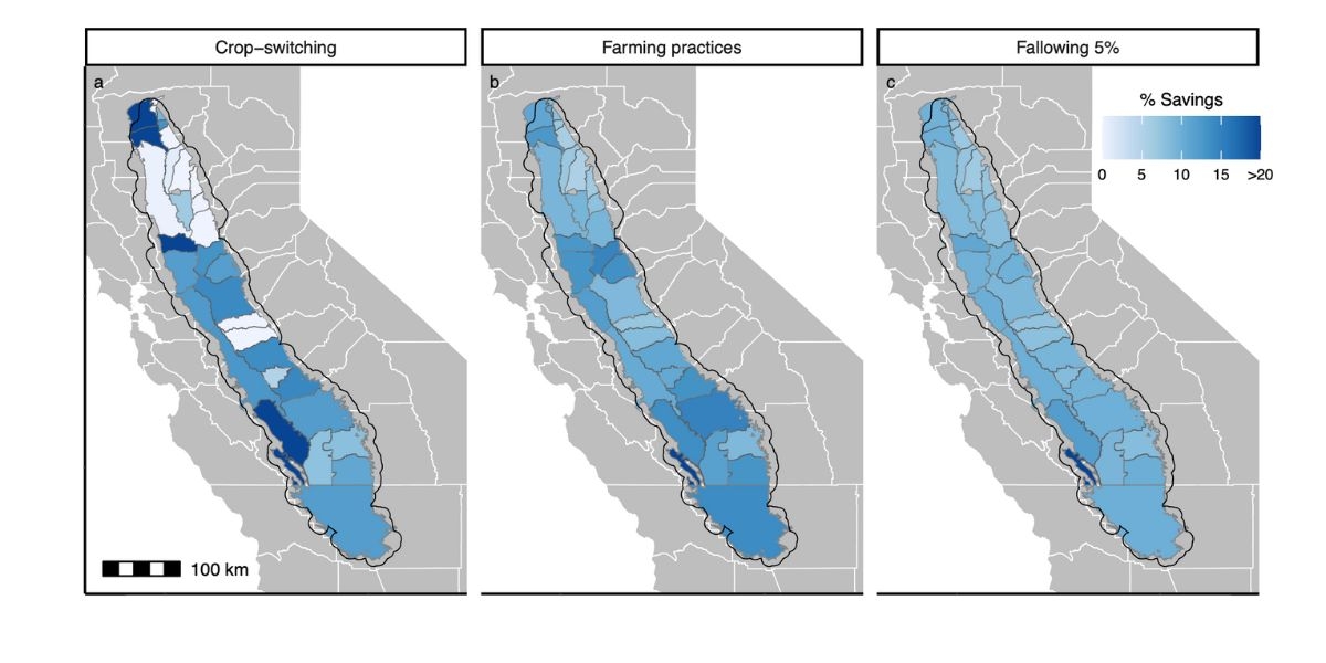 Three schema of switching crops, changing farming practices, and fallowing fields all yielded average water savings around 10%.