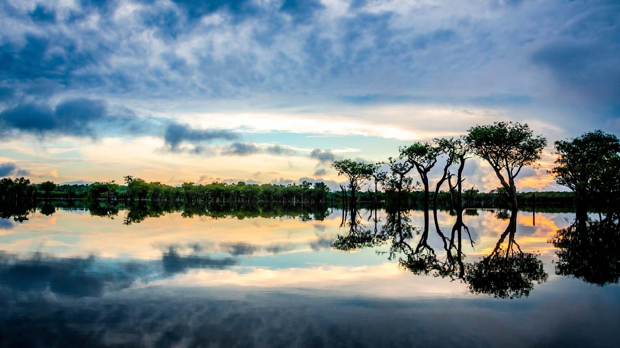 Lake with reflection of trees at dusk or blue hour.