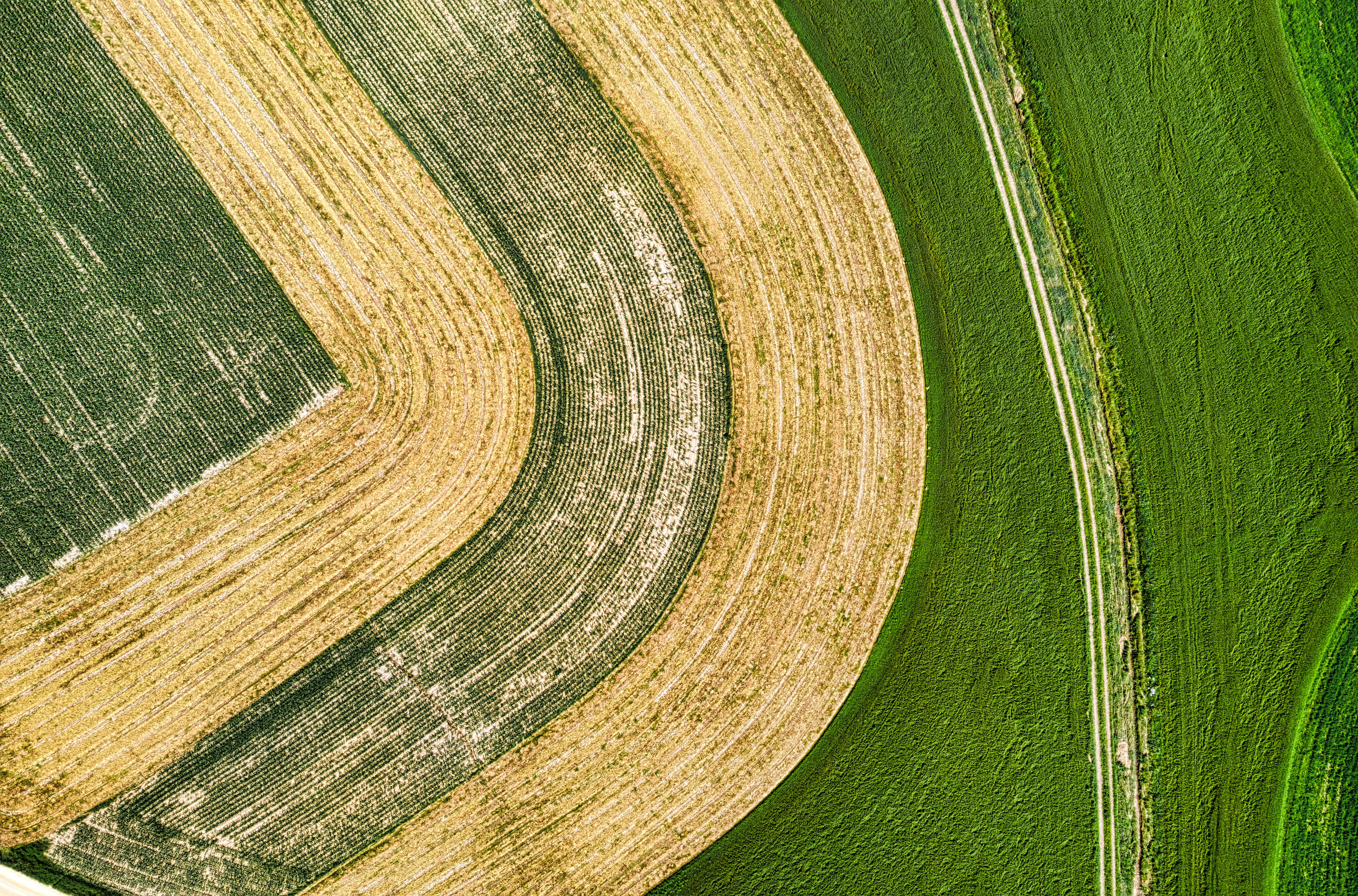 Aerial view of a field that is plowed and brown and some is green still.
