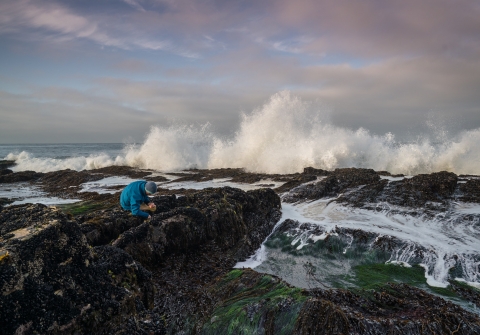 Person examining tide pool along rocky shore