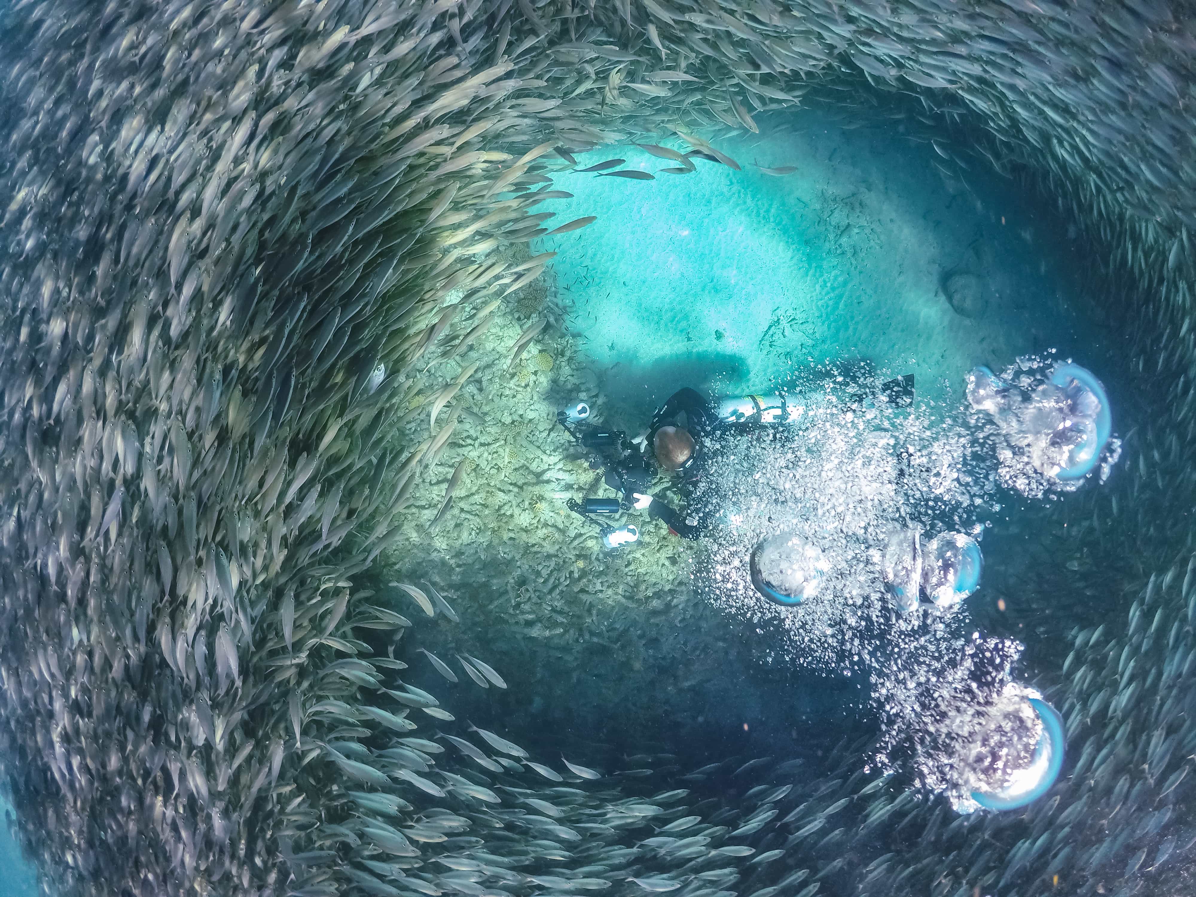 Swimming With Fish And Turtles Views Around The Small Caribbean Island Of Curacao