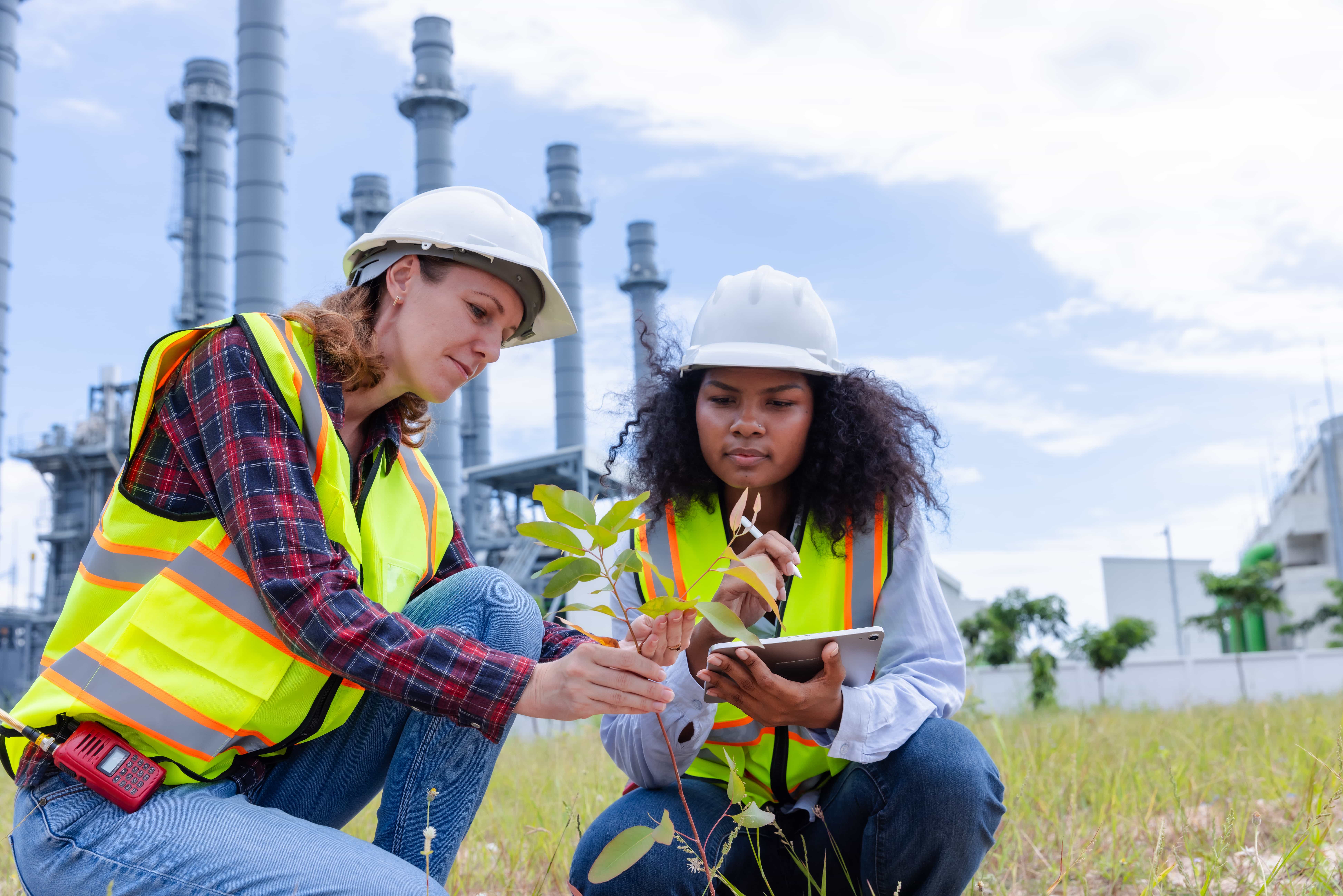 Two environmental workers analyzing plant growth