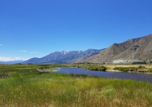 Eastern Sierra River with grass, mountains, and blue sky