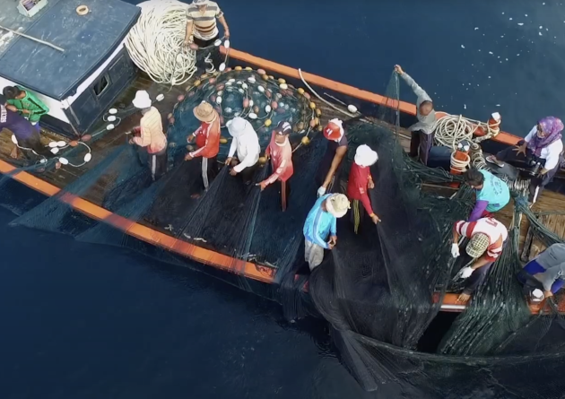 Study shows social marketing helps communities adopt sustainable fishing practices