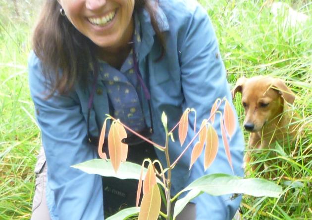 Karen Holl kneeling, planting a seedling