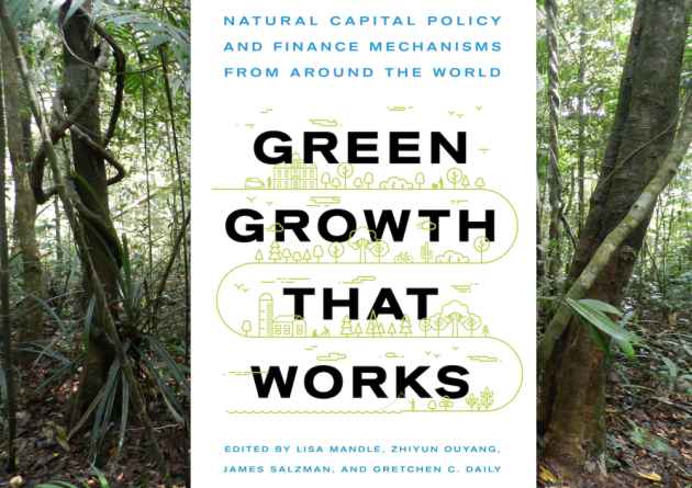 Professor James Salzman coauthors guide to green growth