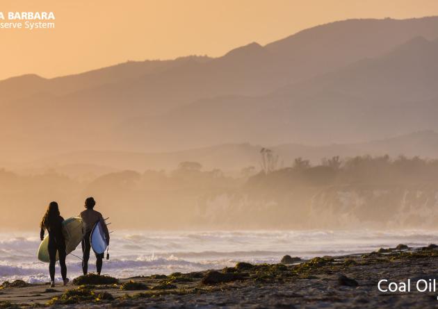 Surfers on a beach at sunset