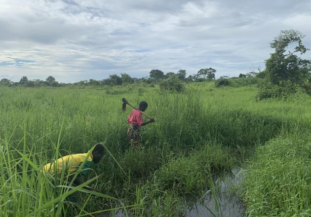 In a two-year study with rural Zambian farmers, researchers found that small loans greatly improved quality of life between annual harvests.