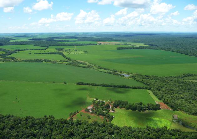 Compounded by a cattle moratorium and multi-sector collaboration, more than 18,000 square kilometers of Amazon forest were saved