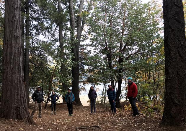 A group of 6 students stand in a clearing in the woods