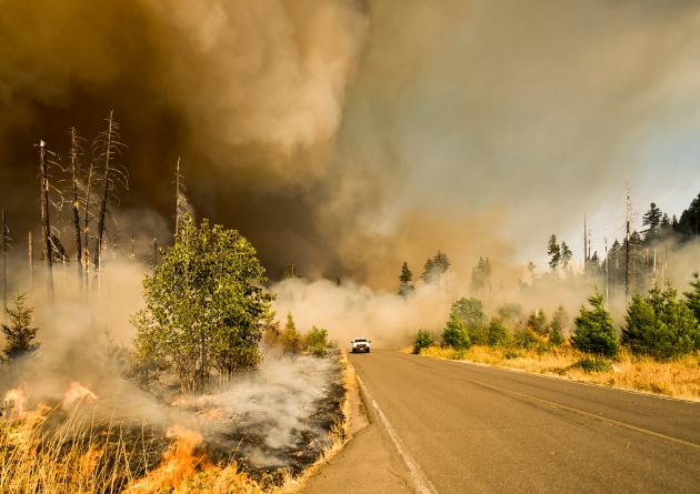 Taking fire risk elements into account, Bren researchers calculate that extreme fire weather will become the new normal for two-thirds of the world by the end of this century.