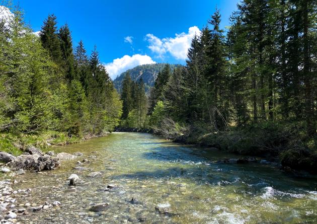 Through an unprecedented data-compilation project, Bren researchers reveal the extent to which rivers are losing water to underlying aquifers across the U.S.