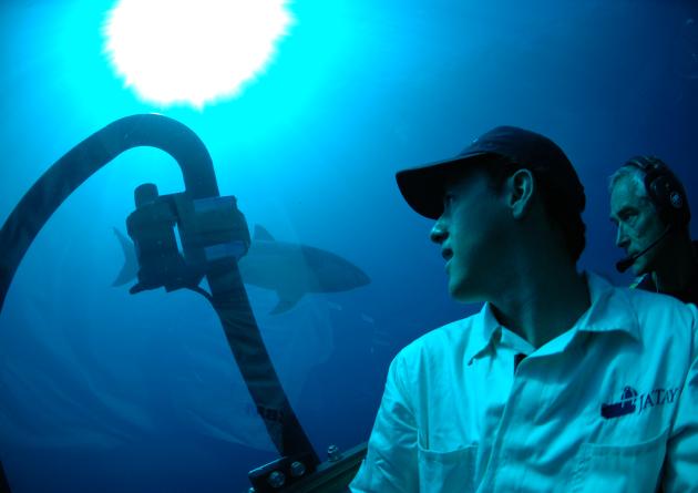 Maurcio Hoyos looks at a shark from inside a submersible vehicle