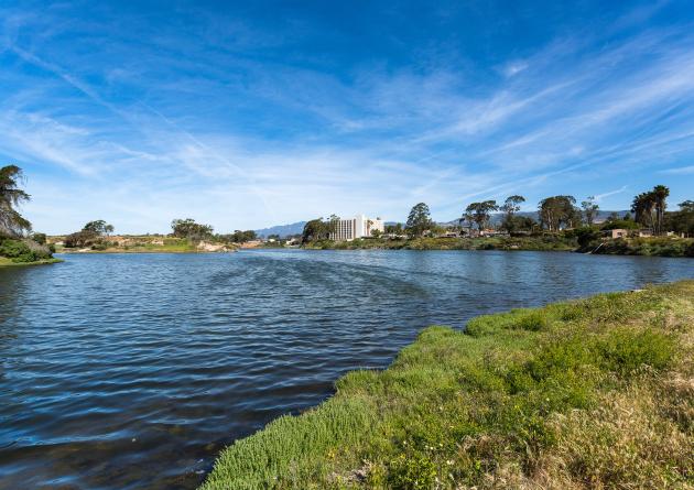 Lagoon surrounded by greenery reflecting sky with puffy clouds