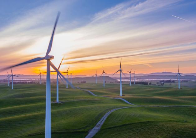 Wind turbines in a field