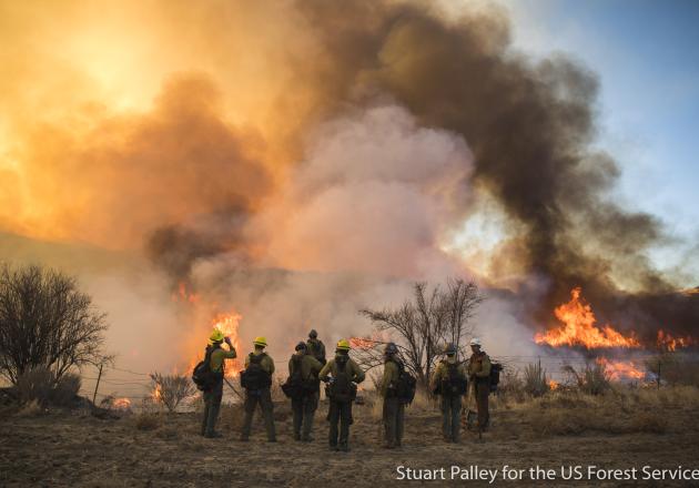 Members of the Bren School community reflect on the danger of wildfire -and impact of wildfires past- as extreme drought conditions become the new normal for the Western US.