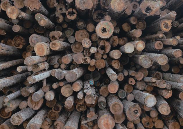 A lumberyard full of Douglas fir outside of Clarkston, Washington.