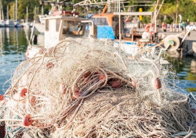 Fishing net to dry