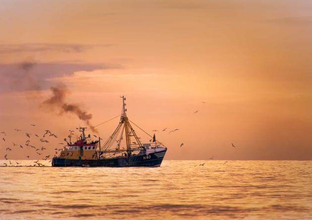 Fisherman boat on the sea with birds behind during sunset