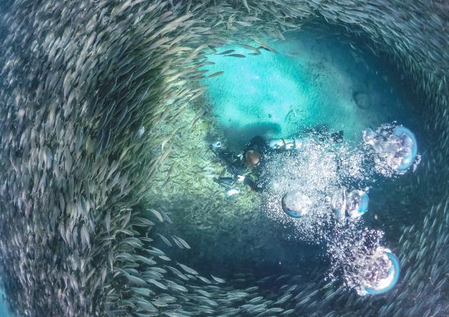 Swimming With Fish And Turtles Views Around The Small Caribbean Island Of Curacao