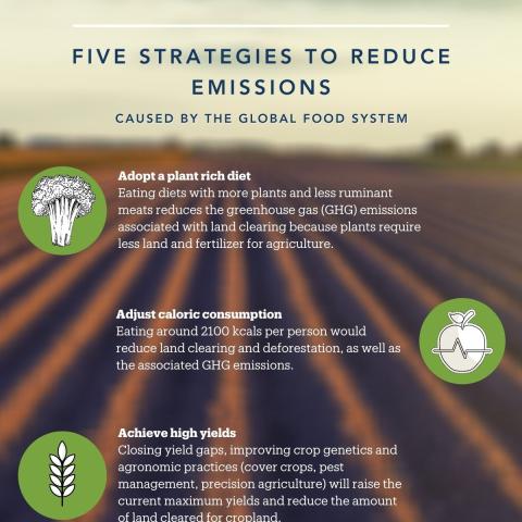 Infographic explaining carbon emissions impact of the agricultural industry. Info summarized in article text.