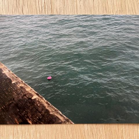 small pink balloon bits floating in ocean