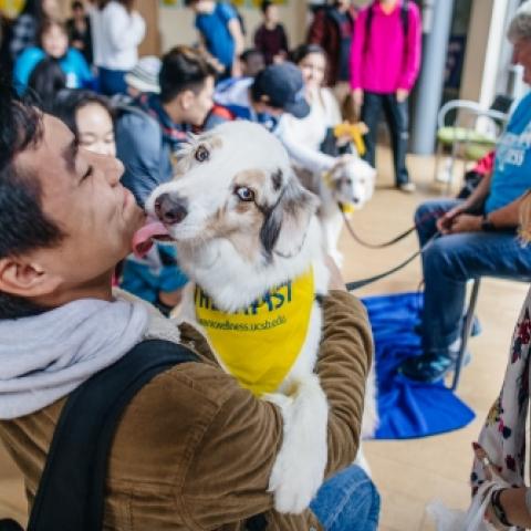 Dog licking man on face