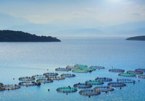 Aquaculture pens on open ocean