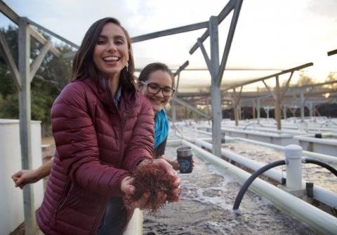 Two women by outdoor tanks, one holding a sea creature