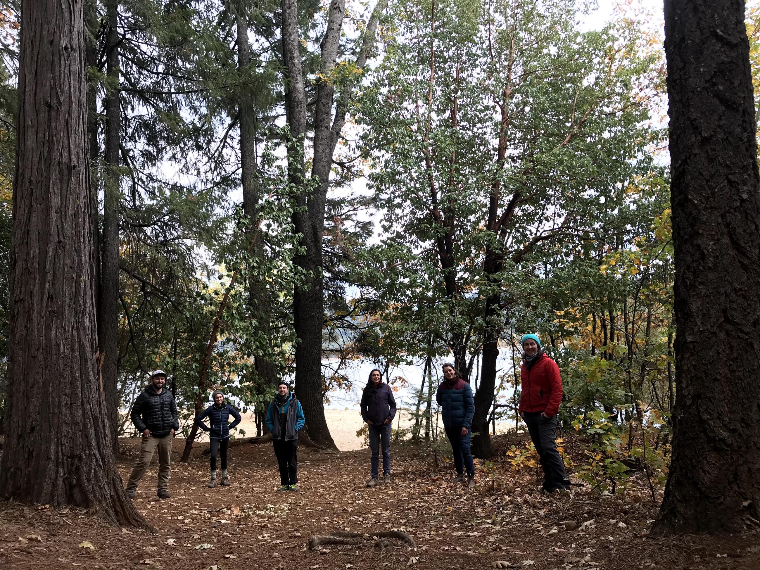 A group of 6 students stands in a clearing in the woods