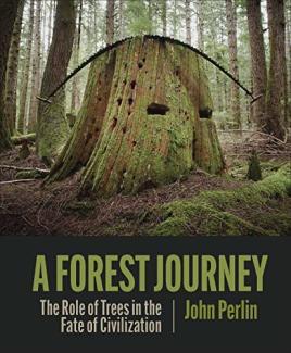 Cover of the book A Forest Journey