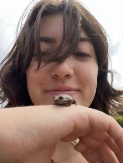 Fiona Jeweler & Frog 