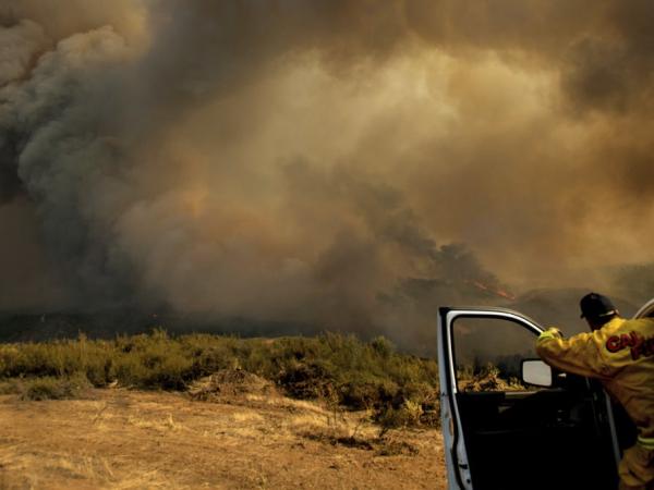 Man in CalFire jacket stands in open door of truck looking at smoke in the distance