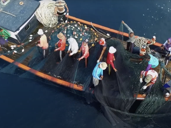 Small scale fisheries boat on ocean
