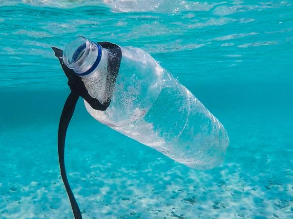 A plastic bottle floats underwater
