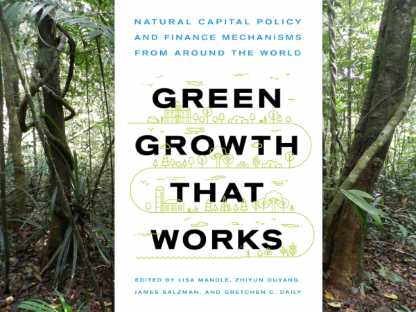 Book cover in front of forest background