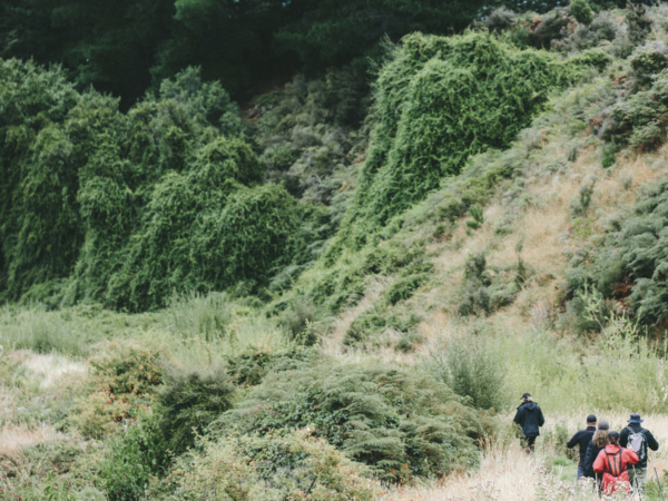 A group of people traverse a grassy field through brush