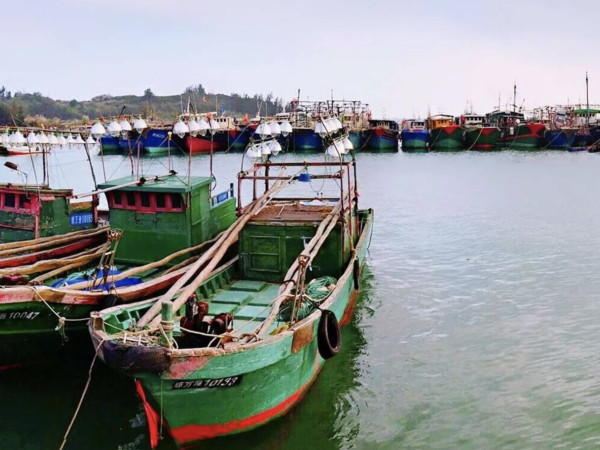 Rustic fishing boats in a harbor.