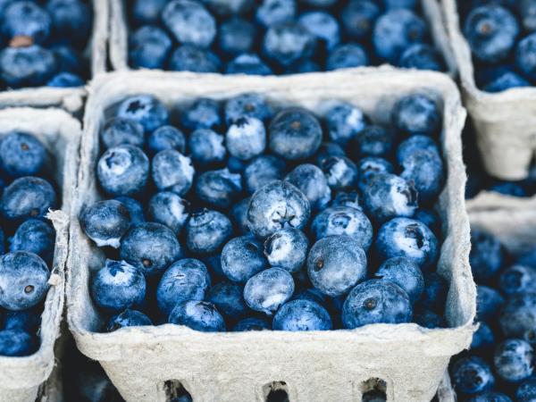 Fresh blueberries in a carton.