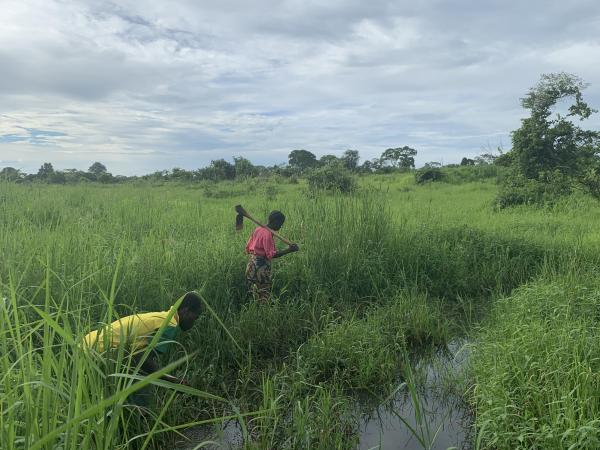 Rural Zambian farmers working in a wet field 