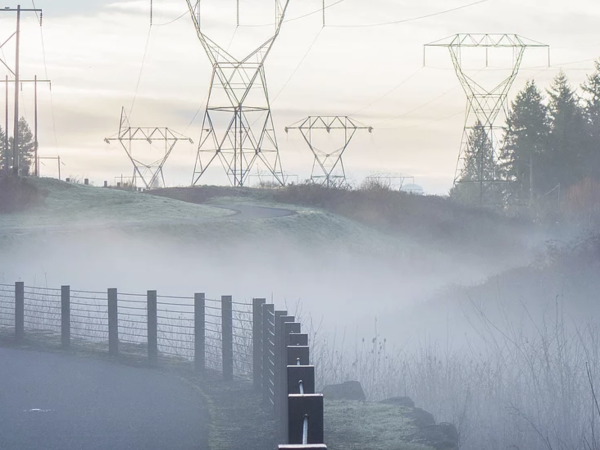 foggy road with power lines