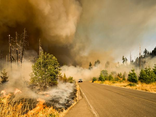 A mountain road is obscured by smoke from a wildfire