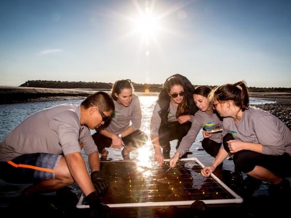 Five students gathered around a transect in the sand