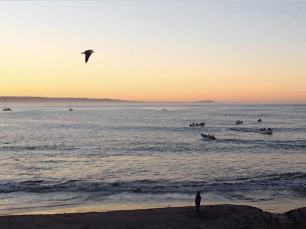 Sunset over ocean cove