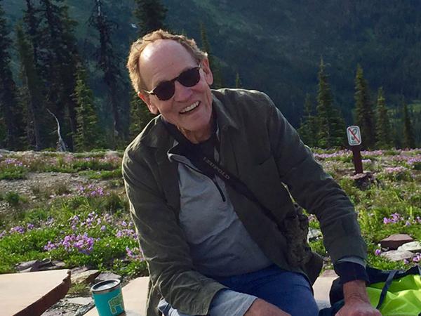 Man sitting on bench in meadow