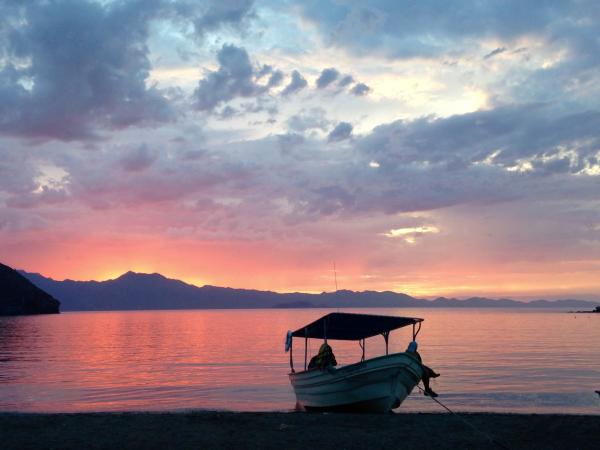 Panga fishing boat on water during sunset