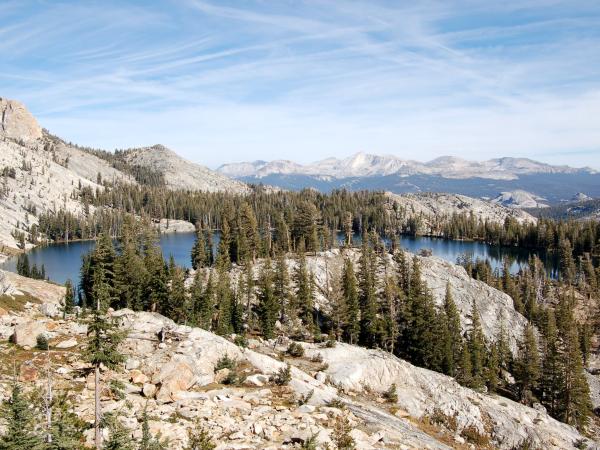 Mountain lake and forest 