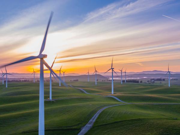 Wind turbines in a field